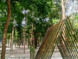 Kreativitas Bupati Asri Ludin Tambunan Tiada Henti, Kawasan Semak Belukar Disulap Jadi Hutan Ekowisata