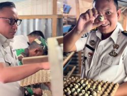 Rutan Kelas II Balige Panen Raya Telur Puyuh
