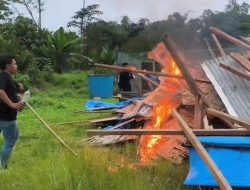 Bukit Pramuka Sibolangit Dijadikan Barak Narkoba dan Judi, Baraknya Dibakar Polrestabes Medan