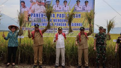 Panen Raya Padi di Karo, Wagub Surya Pastikan Keberpihakan Pemerintah kepada Petani