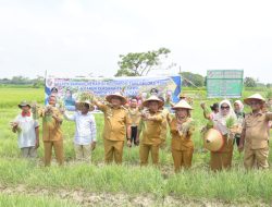 Bupati Genjot Program Unggulan Ketahanan Pangan, Deli Serdang Raih Prestasi Inflasi Terendah Per Januari 2026