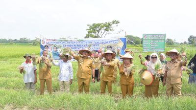 Bupati Genjot Program Unggulan Ketahanan Pangan, Deli Serdang Raih Prestasi Inflasi Terendah Per Januari 2026