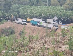 Abaikan Himbauan Camat Tiga Nderket, CV Karo Mineral Lestari Terus Beroperasi: Kebal Hukum?