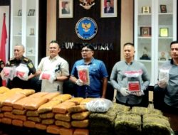 BNNP Sumut Tangkap 10 Bandar Narkoba, Sita 210 Kg Ganja dan 4 Kg Sabu