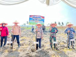 Dukung Program Ketapang Nasional, Pemko Hadiri Penanaman Jagung Serentak Kuartal I Polres Tanjungbalai