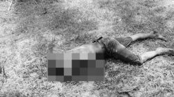 Pengangon Kambing Dibunuh di Areal Kebun PT Socfindo Sergai