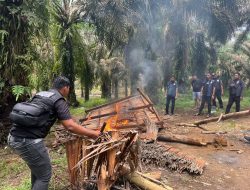 Penggerebekan Diduga Bocor, Barak Narkoba di Langkat Kosong, Langsung Dibakar Polisi