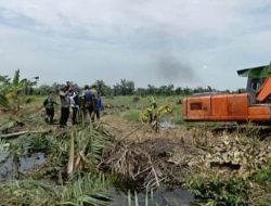 Satgas PKH Tertibkan 300 Hektare Lahan Sawit Ilegal di Desa Puluh Kurau Kecamatan Hamparan Perak
