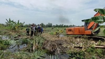 Satgas PKH Tertibkan 300 Hektare Lahan Sawit Ilegal di Desa Puluh Kurau Kecamatan Hamparan Perak