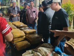 Dikejar Aparat, Kurir Buang 33 Ball Ganja, Mobil Toyota Rush Rentalan Ditinggal Kosong