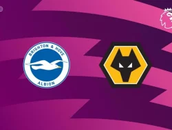 Prediksi Brighton  vs Wolverhampton Wanderers, Premier League 9  Mei 2026