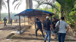 Tak Beri Ruang Bandar, Polres Binjai Gerebek dan Musnahkan Barak Narkoba di Langkat