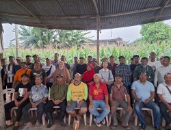 Kelompok Tani Medan Sinembah Limau Manis Diteror OTK Diduga Pihak Pencuri Lahan Negara