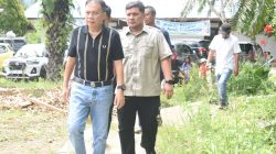Wabup Tapsel Panen Jagung Serentak di Batang Angkola