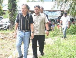 Wabup Tapsel Panen Jagung Serentak di Batang Angkola