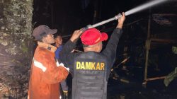 4000 Ayam Broiler Hangus, Kandang PT Induk Jaya Java di Binjai Selatan Dilalap Api
