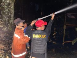 4000 Ayam Broiler Hangus, Kandang PT Induk Jaya Java di Binjai Selatan Dilalap Api