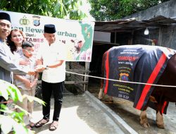 Kapolrestabes Medan Serahkan Sapi “Samson” 650 Kg, 27 Hewan Kurban Disembelih