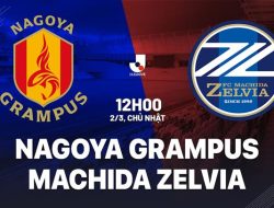 Prediksi Nagoya vs Machida Zelvia , J-League 30 Mei 2026