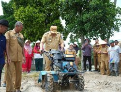Bupati Asri Ludin Tambunan Percepat Modernisasi Pertanian Demi Efisiensi dan Produktivitas