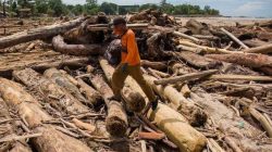 PMPHI SU: DPR RI Harus Minta KLHK Buka Data Pemilik Kayu, Izin PT Yang Tak Bersalah Aktifkan Lagi