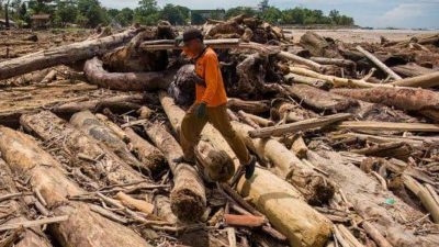 PMPHI SU: DPR RI Harus Minta KLHK Buka Data Pemilik Kayu, Izin PT Yang Tak Bersalah Aktifkan Lagi