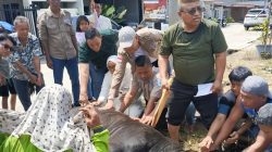 Muhammad Dahnil Ginting Salurkan Hewan Kurban Untuk Mushola Al Falah dan Masyarakat Sampali