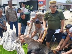 Muhammad Dahnil Ginting Salurkan Hewan Kurban Untuk Mushola Al Falah dan Masyarakat Sampali