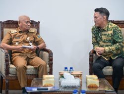 Wagub Surya Dukung Pembangunan 217 Tower Transmisi PLN Langkat-Medan