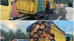 Tim Deninteldam I/BB dan BAIS TNI Amankan Dua Truk Bermuatan Kayu Diduga Hasil Illegal Loging di Dairi