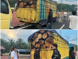 Tim Deninteldam I/BB dan BAIS TNI Amankan Dua Truk Bermuatan Kayu Diduga Hasil Illegal Loging di Dairi