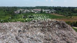 TPA Tadukan Raga Ancam Kesehatan Warga, DPRD Akan Panggil Dinas LH dan Soroti Anggaran Sanitary Landfill
