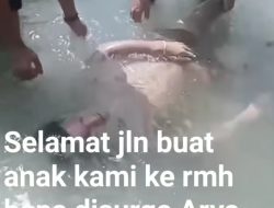 Terseret Arus, Mahasiswa Ariyya Sitorus Tewas di Objek Wisata Tangkahan