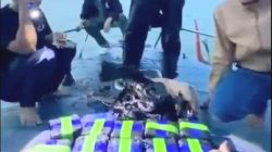 Kurir 10 Kg Sabu Ditangkap Polda Sumut di Perairan Asahan