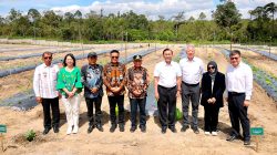 Temasek Singapura Jajaki Kerja Sama di TSTH2, Wagub Sumut Tegaskan Komitmen Kembangkan Pusat Bioekonomi Tropis