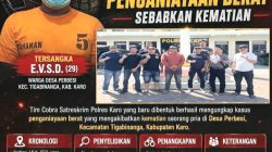 Tim Cobra Polres Karo Tunjukkan Taring, Buron Kasus Penganiayaan yang Tewaskan Pria di Tigabinanga Dibekuk