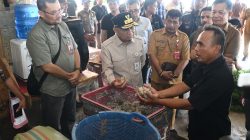 Ekonomi Masyarakat Nias Utara Terdongkrak dari Rumput Laut, Wagub Surya Dorong Hilirisasi