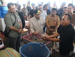 Ekonomi Masyarakat Nias Utara Terdongkrak dari Rumput Laut, Wagub Surya Dorong Hilirisasi