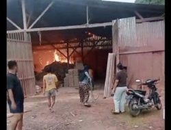 Gudang Kayu Olahan di Patumbak Deli Serdang Terbakar, Kerugian Ratusan Juta