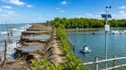 Revitalisasi Tambak Berbasis Ekosistem Mangrove di Indonesia