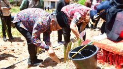 Hari Jadi ke-81 Tapteng, Pemkab Tanam Pohon dan Pulihkan Lahan Pascabencana di Sipange