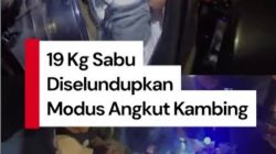 Diselundupkan di Bawah Badan Kambing, Ditresnarkoba Polda Sumut Amankan 19 Kg Sabu Tujuan Pekanbaru