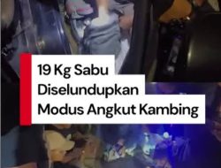 Diselundupkan di Bawah Badan Kambing, Ditresnarkoba Polda Sumut Amankan 19 Kg Sabu Tujuan Pekanbaru