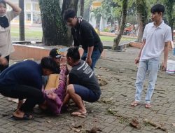 Tertimpa Ranting Pohon di Lapangan Merdeka Binjai, Ibu Penjual Lukisan Meninggal Dunia