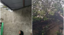 Hujan dan Angin Kencang Terjang Binjai, Seng Rumah Warga Beterbangan hingga Pohon Tumbang