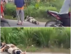 Wanita Pejalan Kaki Tewas Dilindas Fortuner di Binjai, Pengemudi Diduga Oknum Polisi