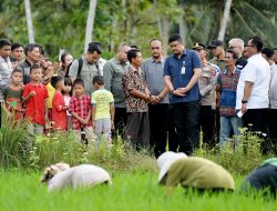 Bobby Nasution Tinjau Irigasi Afia, Dorong Produktivitas dan Sejahterakan Petani Gunungsitoli